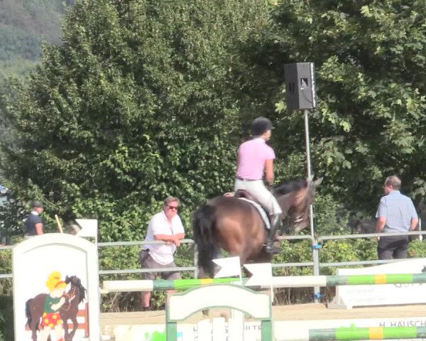 Voßwinkeler Reitertage 2016