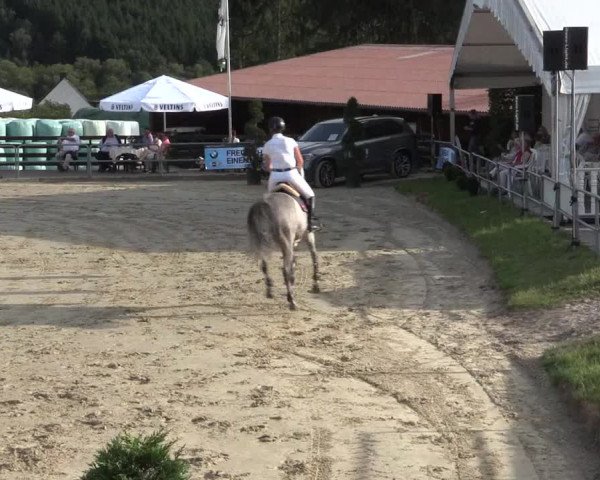 Voßwinkeler Reitertage 2016