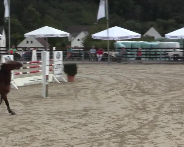 Voßwinkeler Reitertage 2016