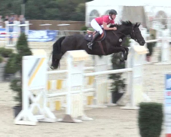 Voßwinkeler Reitertage 2016