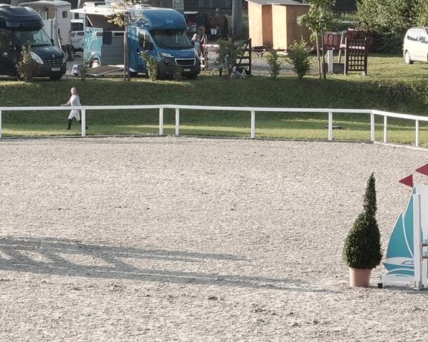 Pferdesporttage Bülach 2021