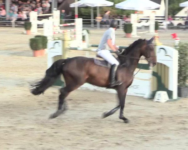Voßwinkeler Reitertage 2016