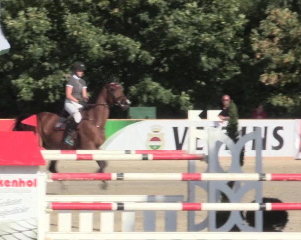 Voßwinkeler Reitertage 2016