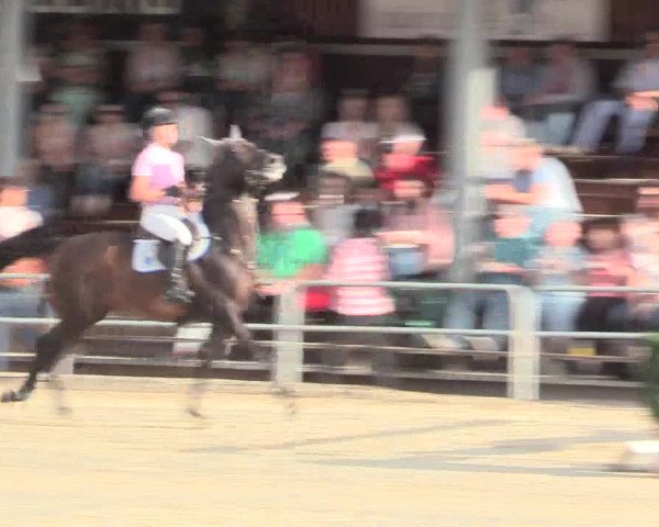 Voßwinkeler Reitertage 2016