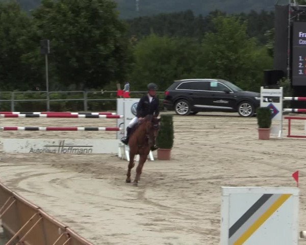 Voßwinkeler Reitertage 2016
