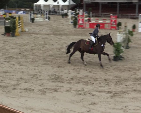 Voßwinkeler Reitertage 2016
