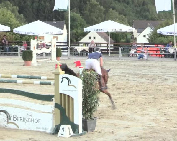 Voßwinkeler Reitertage 2016