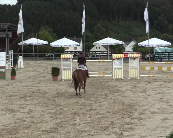 Voßwinkeler Reitertage 2016