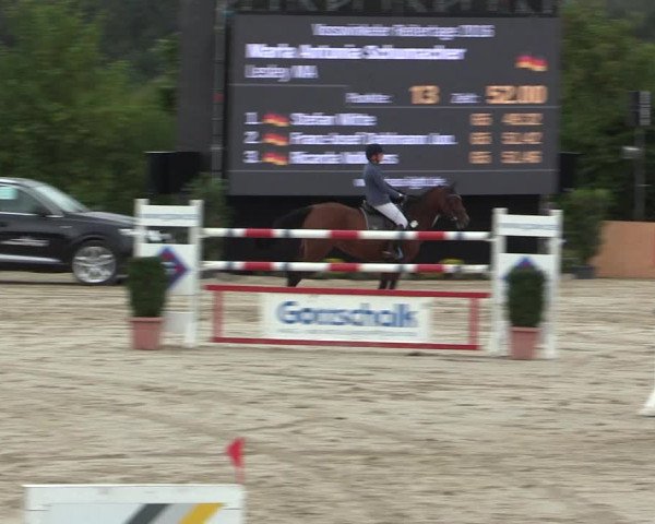 Voßwinkeler Reitertage 2016
