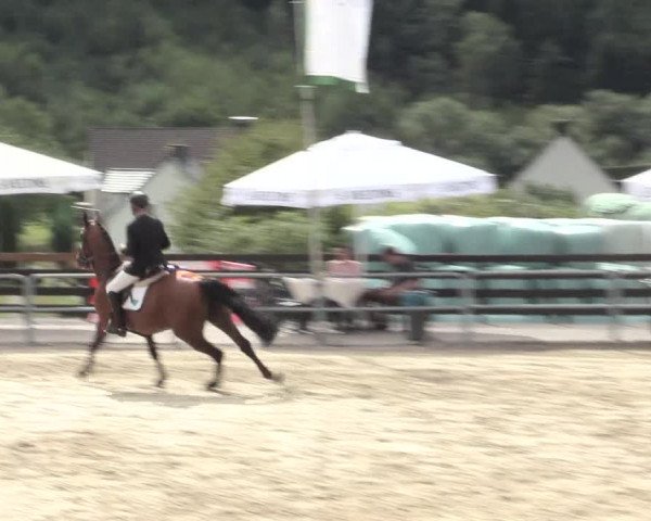 Voßwinkeler Reitertage 2016