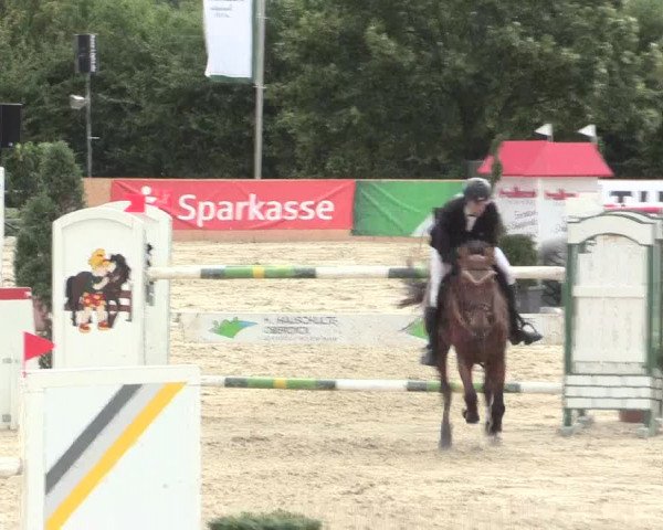 Voßwinkeler Reitertage 2016