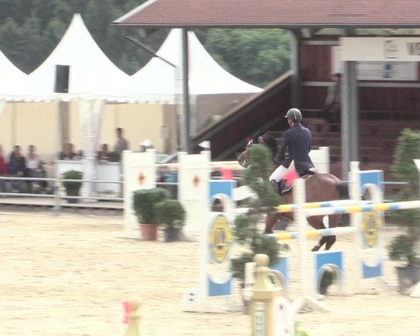 Voßwinkeler Reitertage 2016