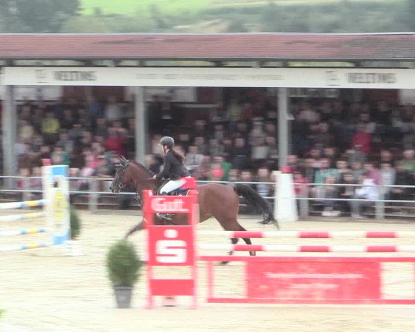 Voßwinkeler Reitertage 2016