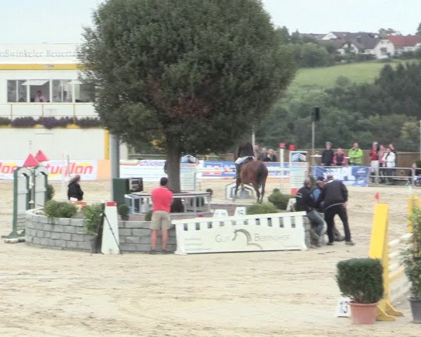 Voßwinkeler Reitertage 2016