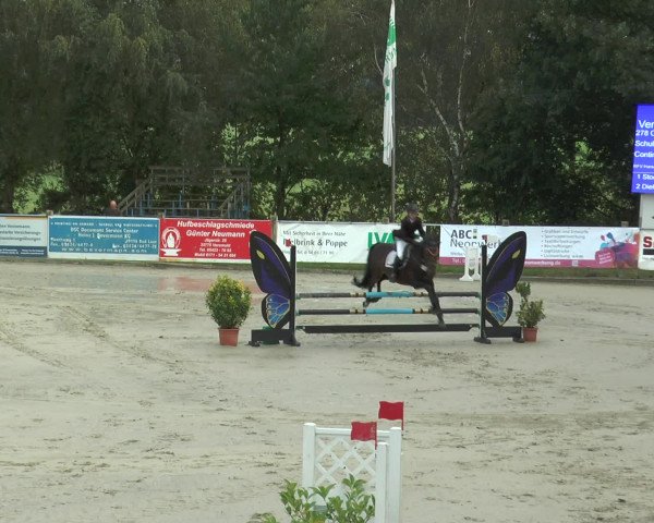 Reitturnier Bad Rothenfelde 2016