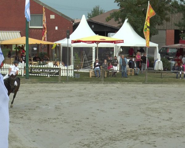 Reitturnier Bad Rothenfelde 2016