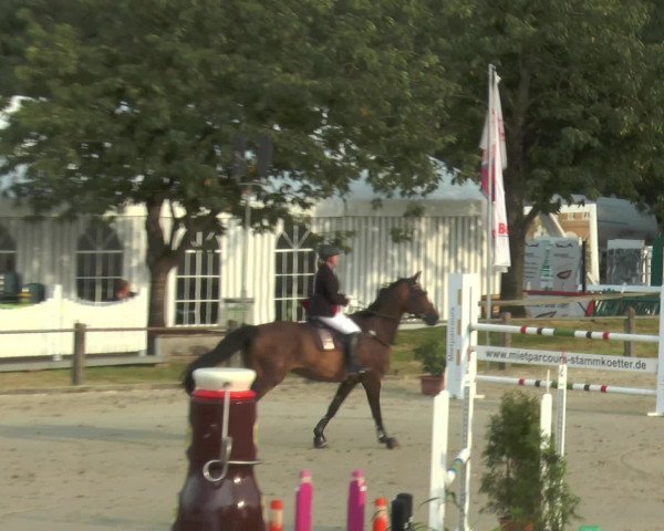 Reitturnier Bad Rothenfelde 2016