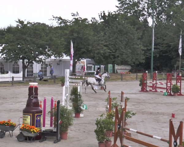 Reitturnier Bad Rothenfelde 2016