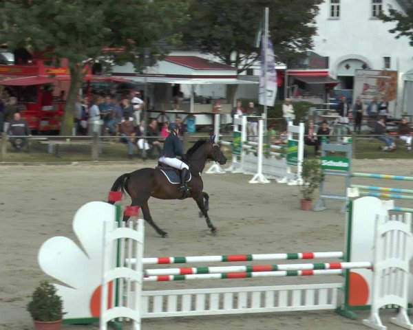 Reitturnier Bad Rothenfelde 2016