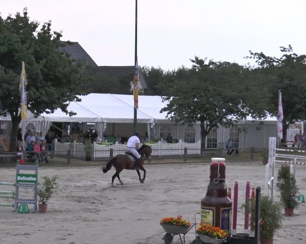 Reitturnier Bad Rothenfelde 2016
