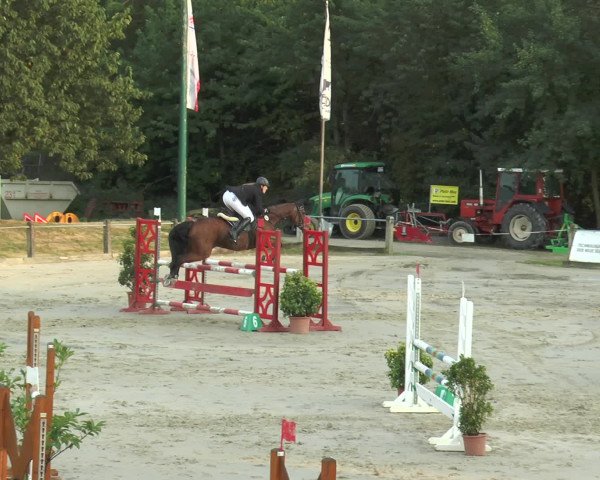 Reitturnier Bad Rothenfelde 2016