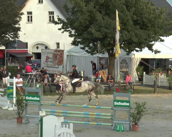Reitturnier Bad Rothenfelde 2016