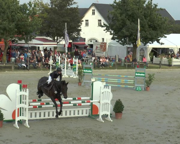 Reitturnier Bad Rothenfelde 2016