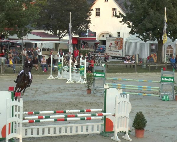 Reitturnier Bad Rothenfelde 2016