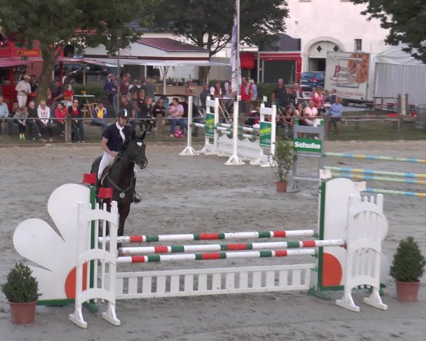 Reitturnier Bad Rothenfelde 2016