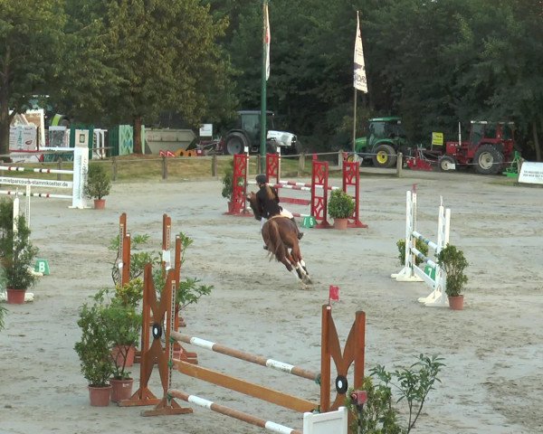 Reitturnier Bad Rothenfelde 2016