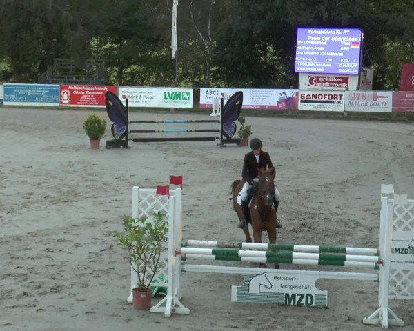 Reitturnier Bad Rothenfelde 2016
