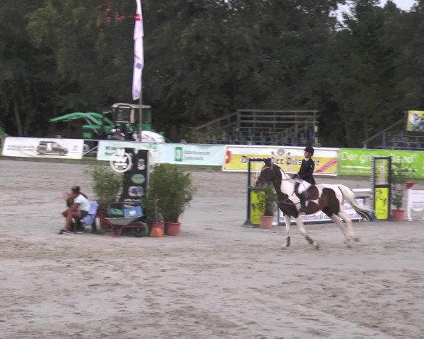 Reitturnier Bad Rothenfelde 2016