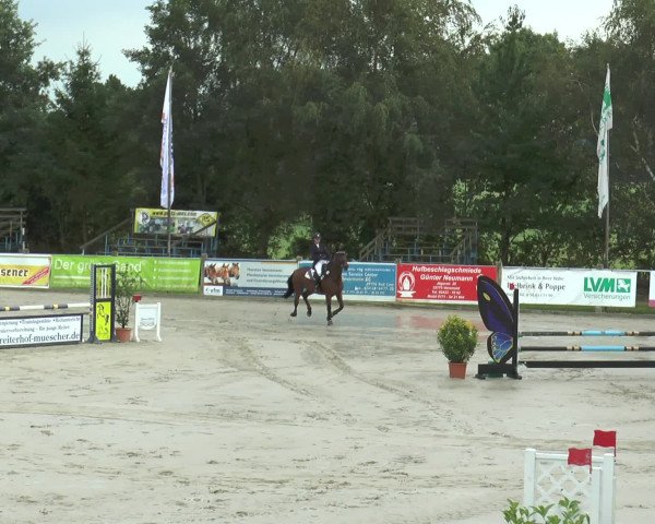 Reitturnier Bad Rothenfelde 2016