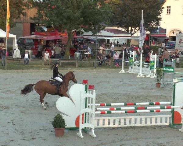 Reitturnier Bad Rothenfelde 2016