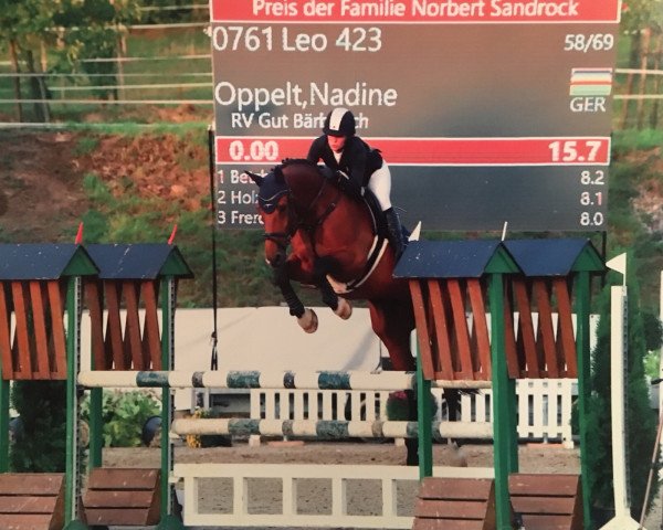 jumper Leo (KWPN (Royal Dutch Sporthorse), 2004)