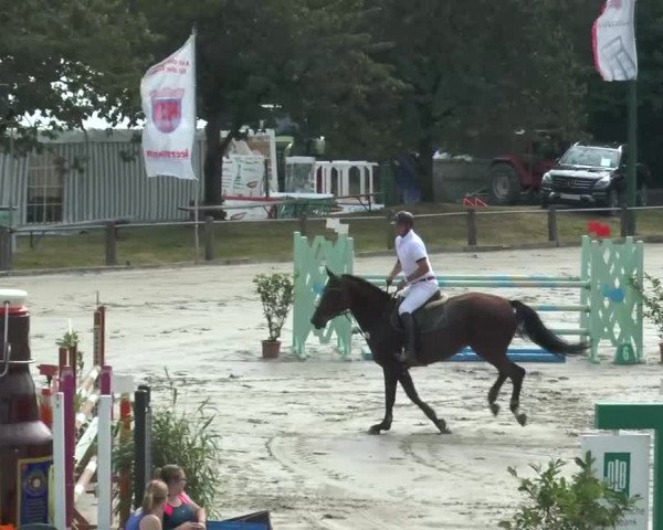 Reitturnier Bad Rothenfelde 2016
