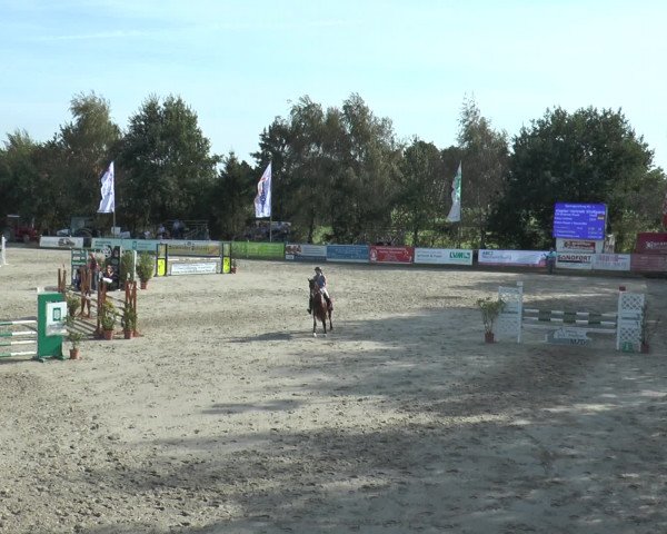 Reitturnier Bad Rothenfelde 2016