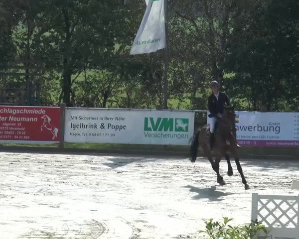 Reitturnier Bad Rothenfelde 2016