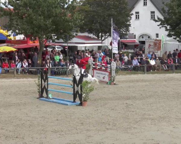Reitturnier Bad Rothenfelde 2016