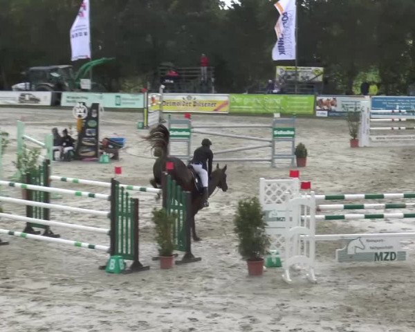 Reitturnier Bad Rothenfelde 2016