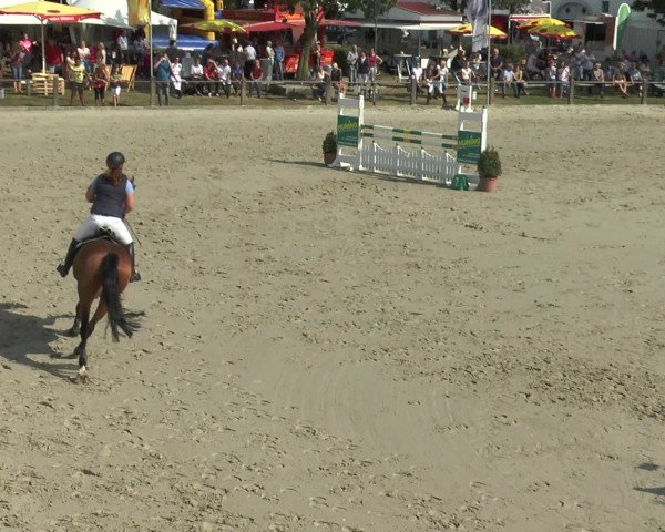 Reitturnier Bad Rothenfelde 2016