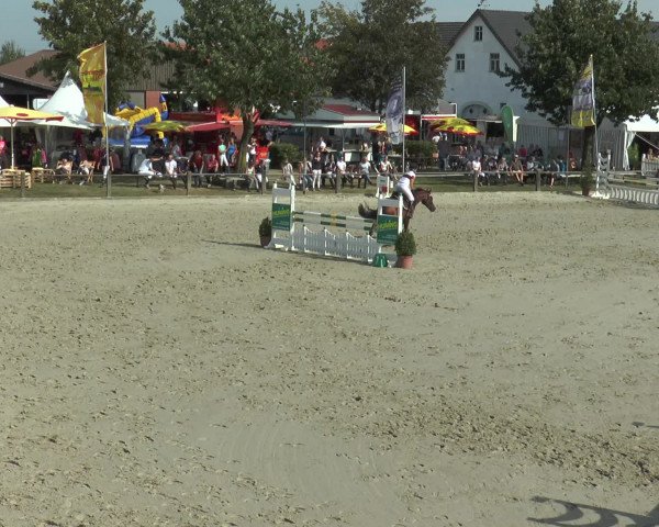 Reitturnier Bad Rothenfelde 2016