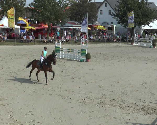 Reitturnier Bad Rothenfelde 2016