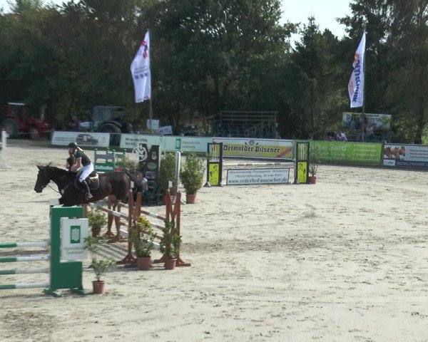 Reitturnier Bad Rothenfelde 2016