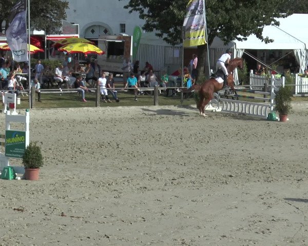 Reitturnier Bad Rothenfelde 2016