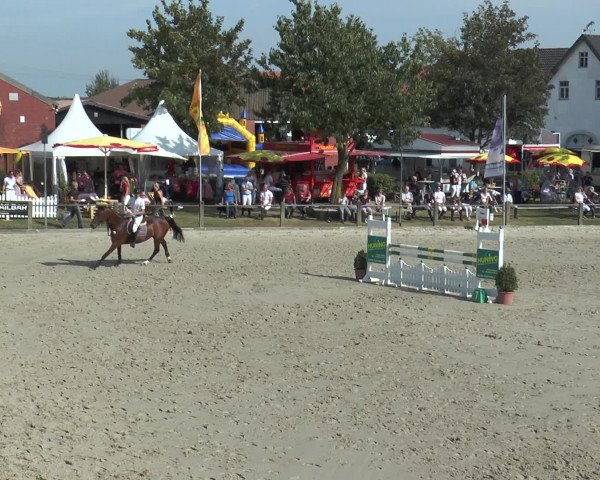 Reitturnier Bad Rothenfelde 2016