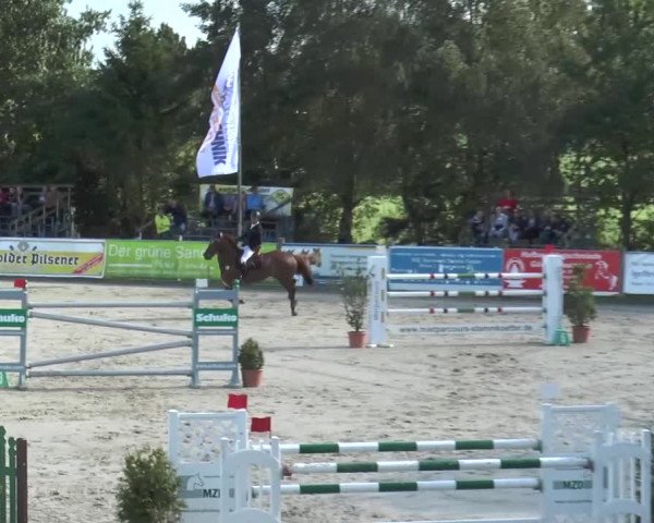 Reitturnier Bad Rothenfelde 2016