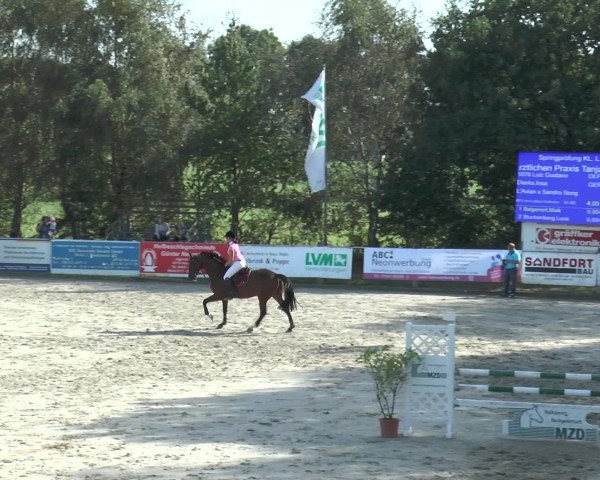 Reitturnier Bad Rothenfelde 2016