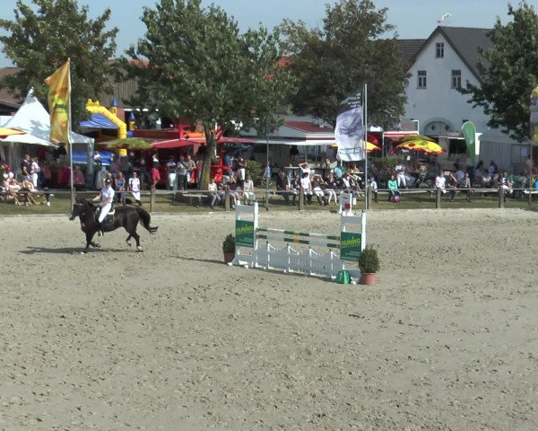 Reitturnier Bad Rothenfelde 2016