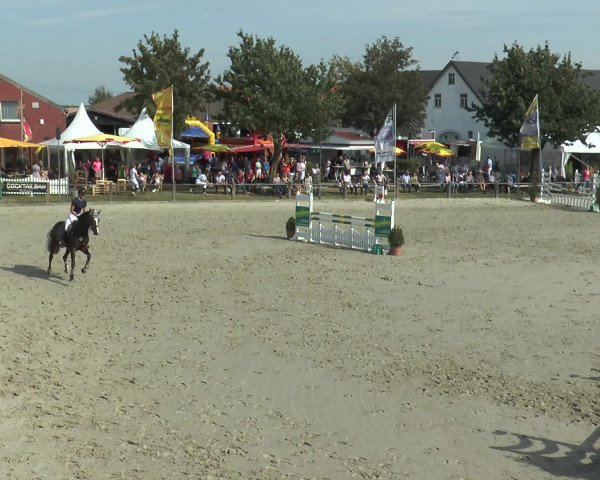 Reitturnier Bad Rothenfelde 2016